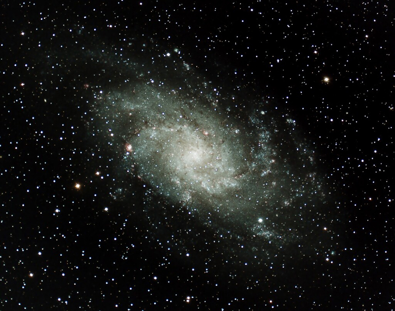 Here is a shot of M33 I took at the IFSP Friday night.  I had a little trouble with my guide program so this is essentially unguided.  Details

C14 at f2, Optolong L-Pro filter
Mallincam DS24 at binning = 1, gain = 10, black level = 100, exposure = 1m, 74 frames