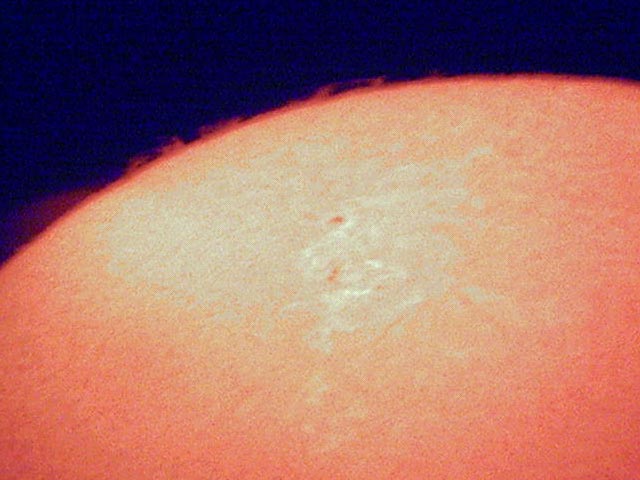 Sunspot with some prominences